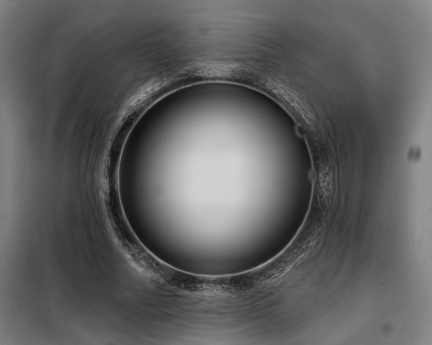 X0000098170682200804241156