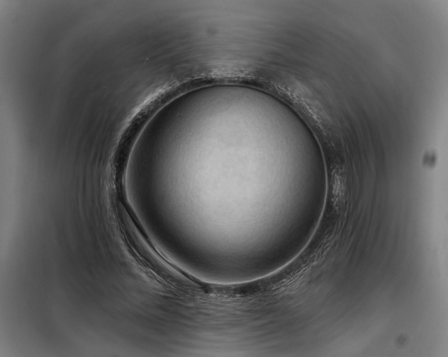 X0000098170684200804241156