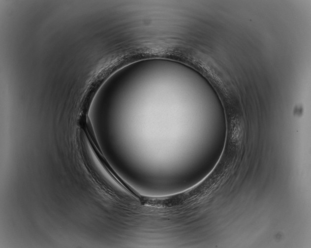 X0000098170685200804241156