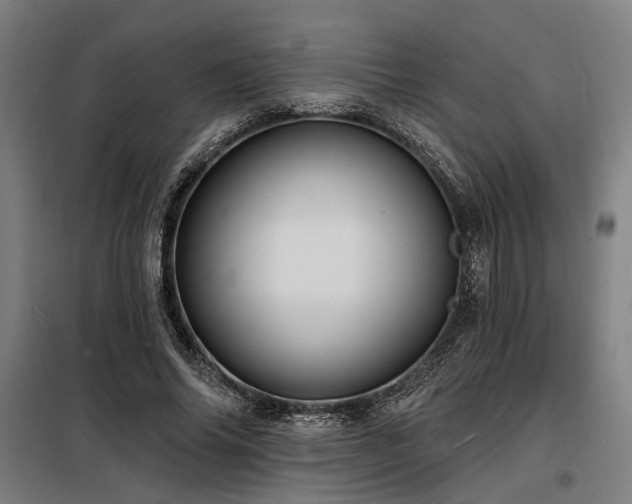 X0000098170686200804241156