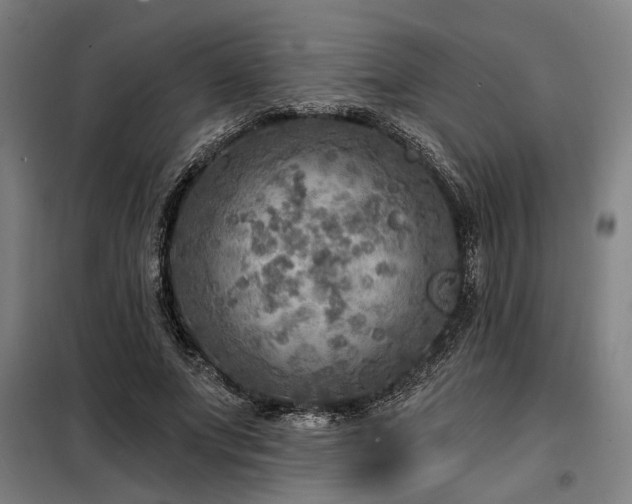 X0000098170687200804241156