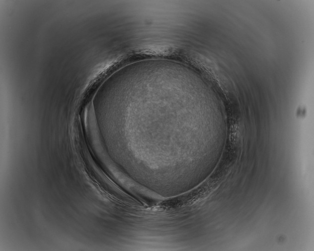 X0000098170688200804241156