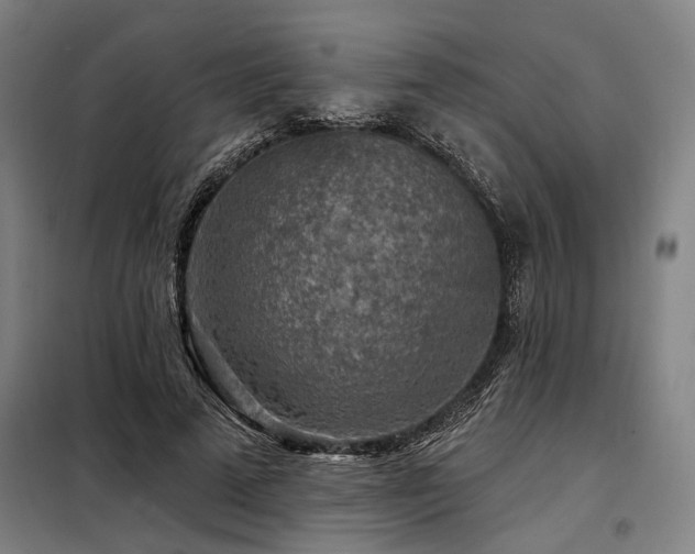 X0000098170689200804241156