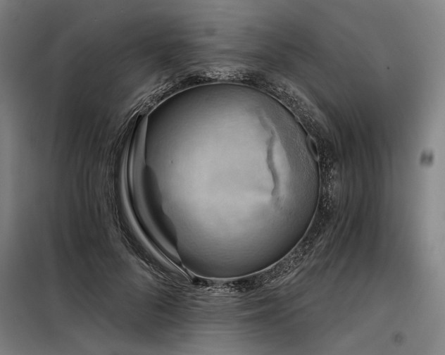 X0000098170696200804241156