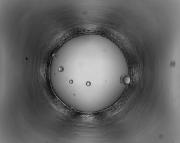 X0000098170698200804241156