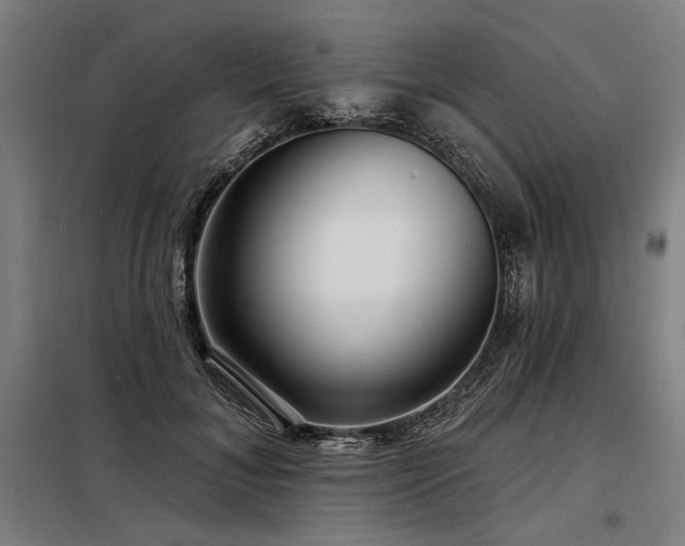 X0000098170700200804241156