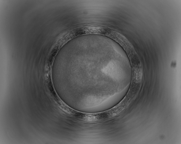 X0000098170701200804241156