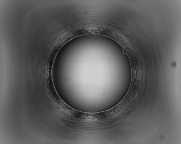 X0000098170702200804241156