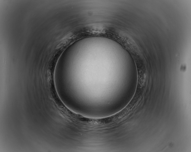 X0000098170704200804241156