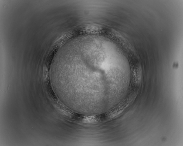 X0000098170705200804241156