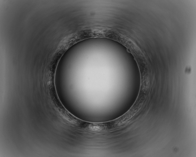 X0000098170706200804241156