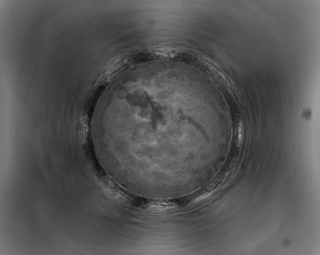 X0000098170707200804241156