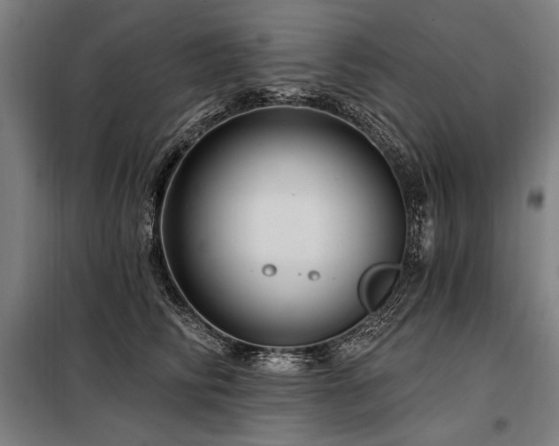 X0000098170710200804241156