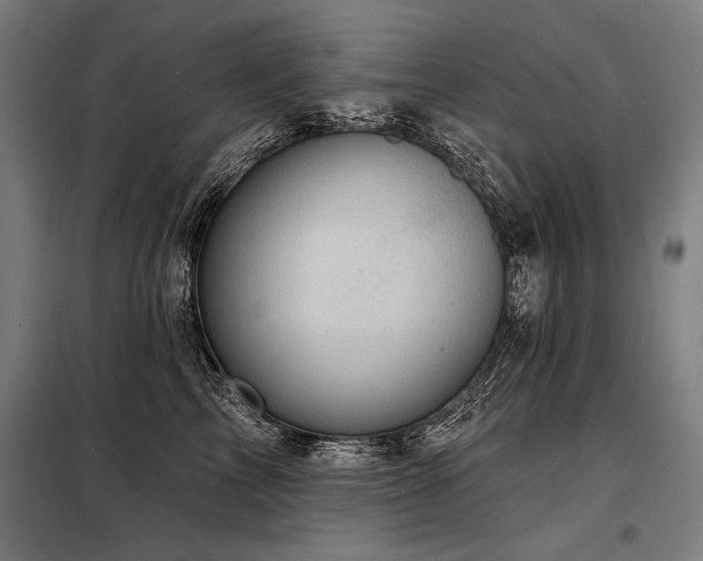 X0000098170713200804241156