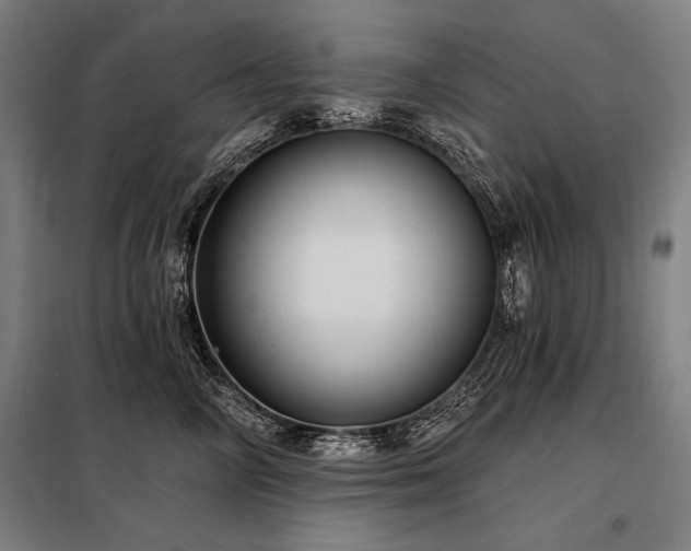 X0000098170714200804241156