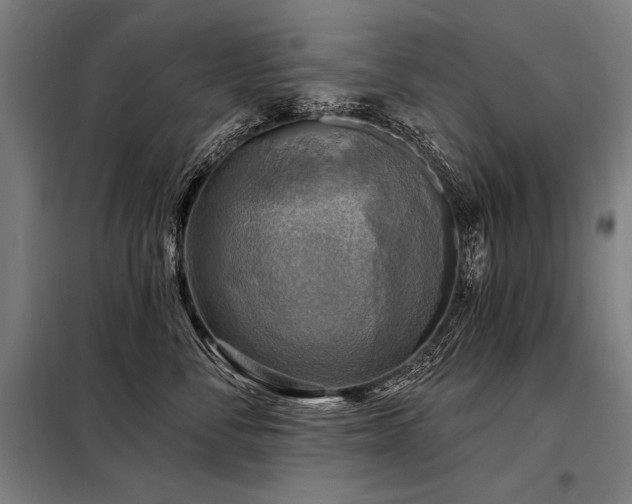 X0000098170716200804241156