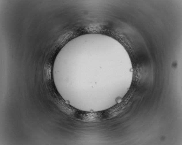 X0000098170717200804241156