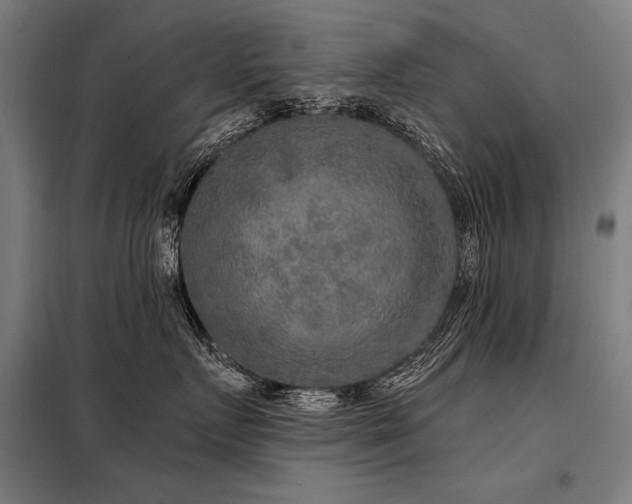 X0000098170719200804241155