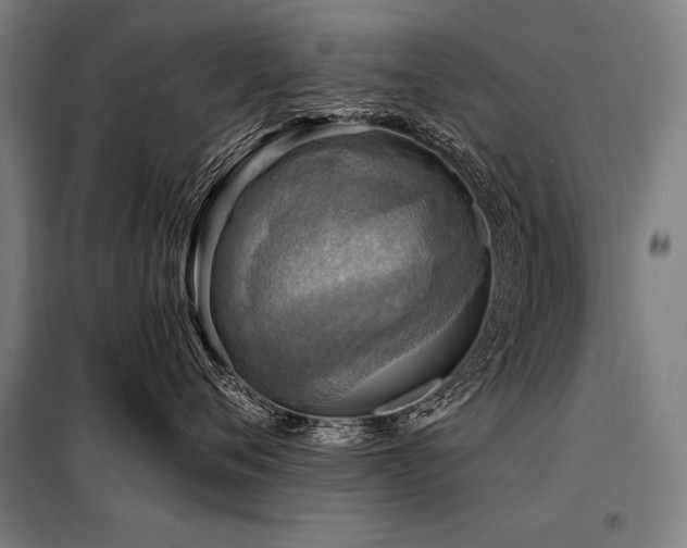 X0000098170720200804241155