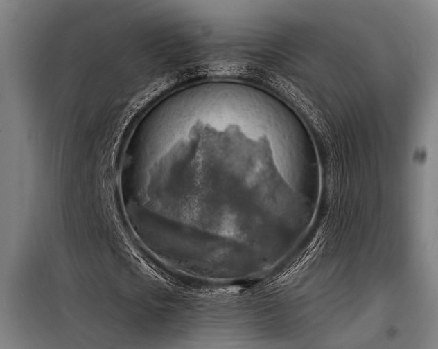 X0000098170721200804241155