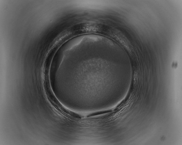 X0000098170722200804241155