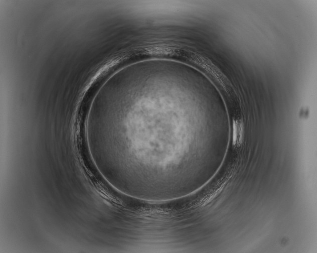 X0000098170723200804241155