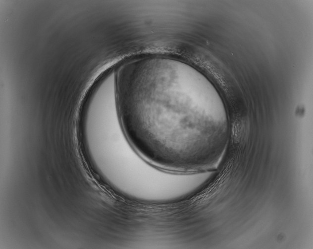 X0000098170724200804241155