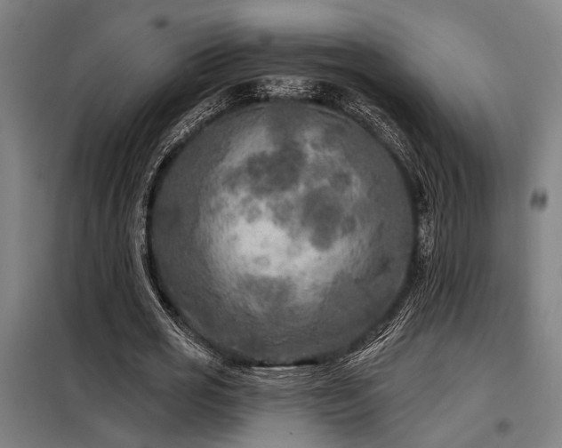 X0000098170725200804241155