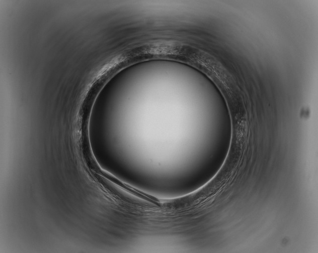 X0000098170727200804241155