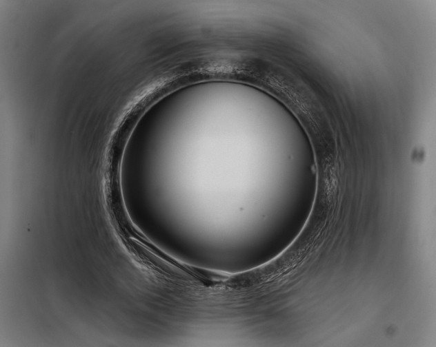 X0000098170728200804241155