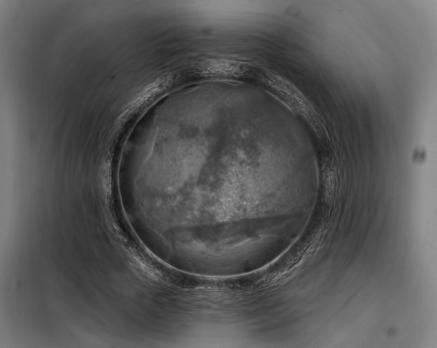 X0000098170729200804241155