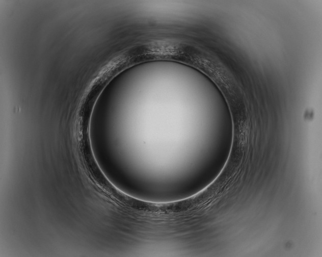 X0000098170731200804241155