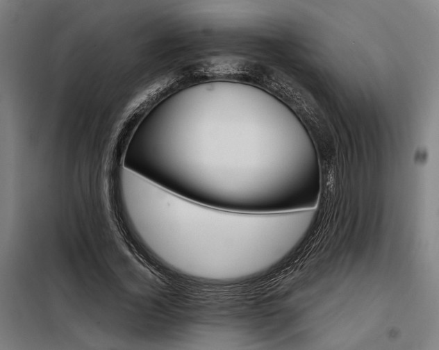 X0000098170732200804241155