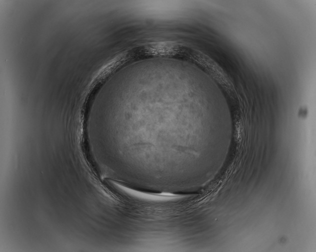 X0000098170733200804241155