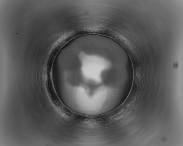 X0000098170734200804241155