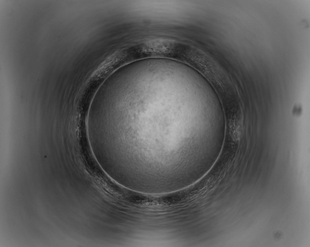 X0000098170735200804241155