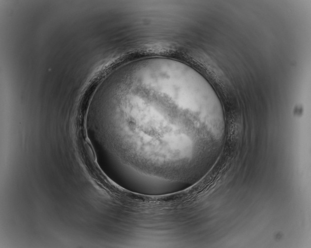 X0000098170736200804241155