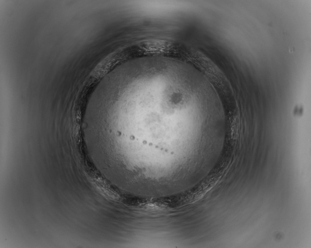 X0000098170737200804241155