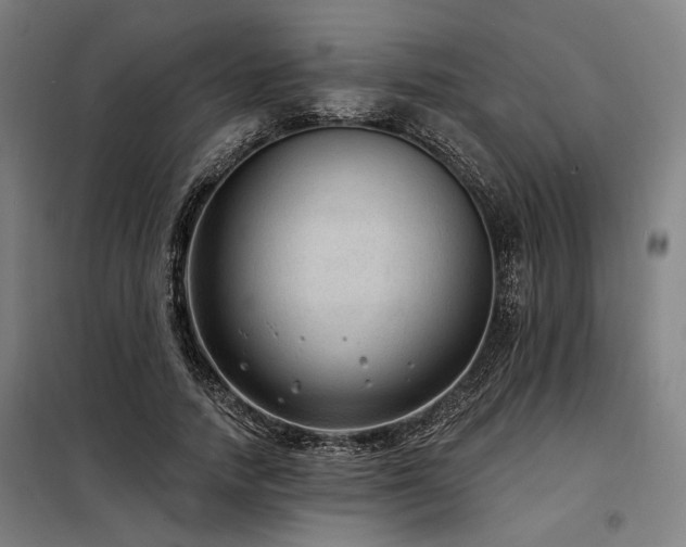 X0000098170738200804241155