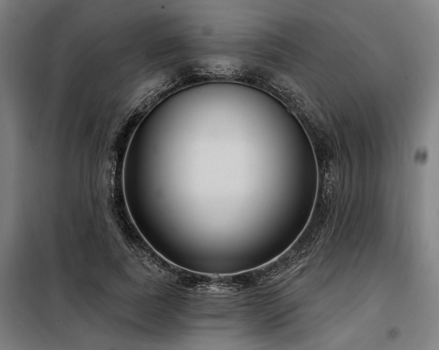 X0000098170739200804241155