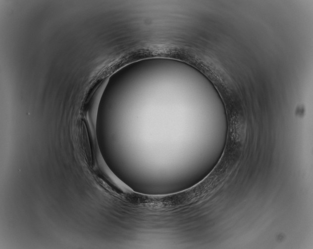 X0000098170740200804241155