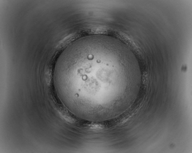 X0000098170741200804241155