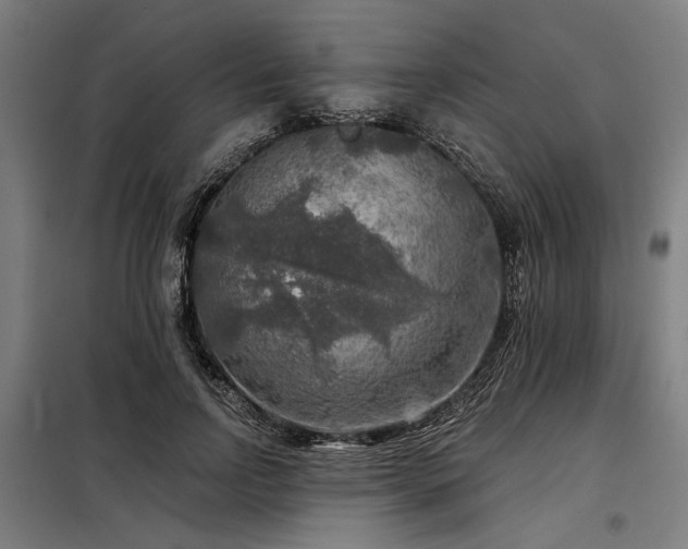 X0000098170742200804241155