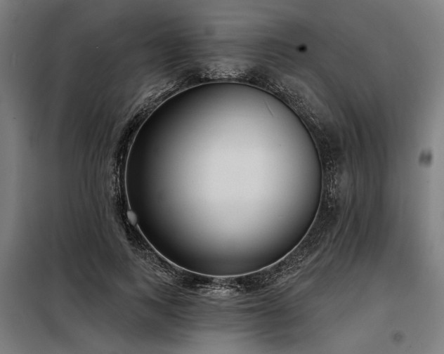 X0000098170743200804241155