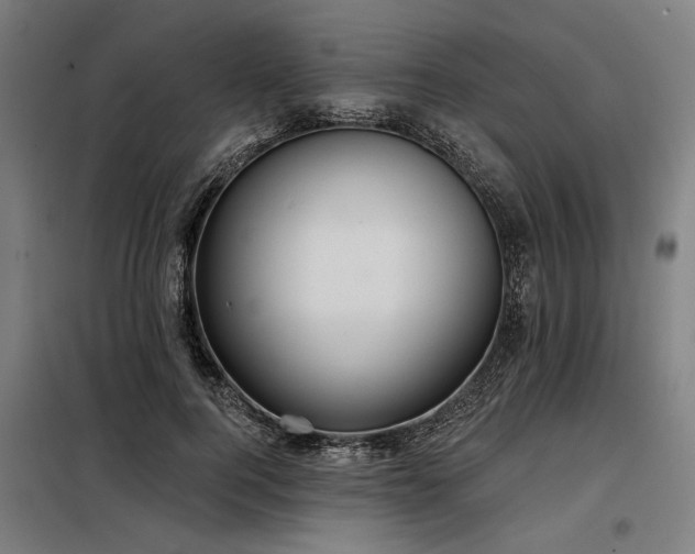 X0000098170744200804241155