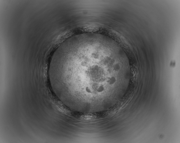 X0000098170745200804241155