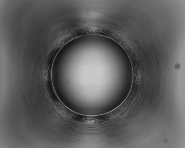 X0000098170746200804241155