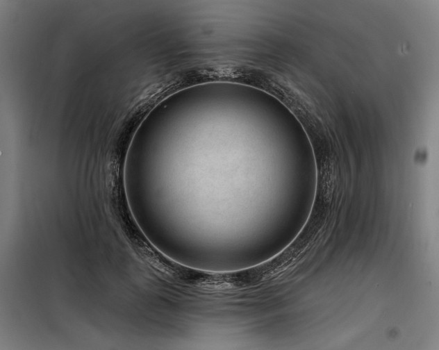 X0000098170747200804241155