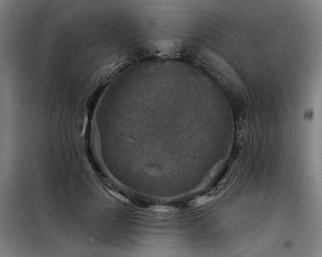 X0000098170748200804241155