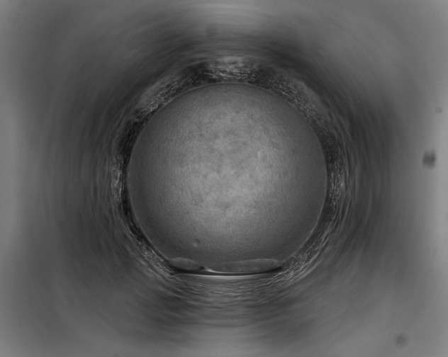 X0000098170749200804241155